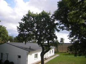 ein weißes Haus mit einem Baum davor in der Unterkunft Apartment Rambin 1 in Gurvitz