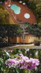 Zahrada ubytování El Oasis Hotel