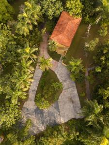 Zahrada ubytování El Oasis Hotel