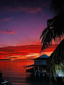 a sunset over the water with a building and a palm tree at Vagabonds in Kaôh Rŭng (3) +9 photos