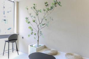 Fotografie z fotogalerie ubytování JI STAY bulguk v destinaci Kjongdžu