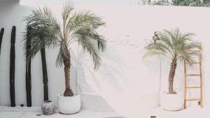 科贾扬Bohemian Jogja Villas with Private Pool的相册照片