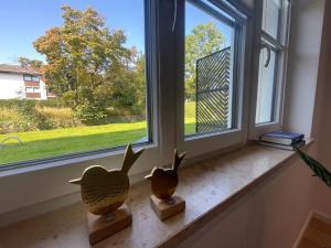 City Lofts Tegernsee - Moderne Studios zentral gelegen في باد ويسي: دجاجتان مطاطيتان تجلسان على حافة النافذة