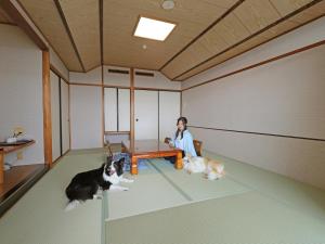Majutusasutuse Nanki Shirahama Dog Paradise külastajatega peatuv lemmikloom või lemmikloomad