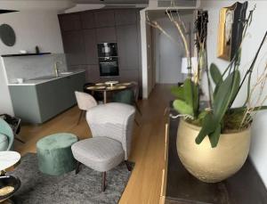 Χώρος καθιστικού στο Luxury flat in Sky Park, castle view, free parking