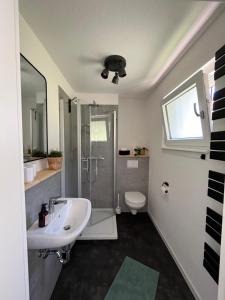 une salle de bain avec un lavabo, une douche et des toilettes dans l'établissement Ferienhäusel Allemühl, à Schönbrunn 29 autres photos