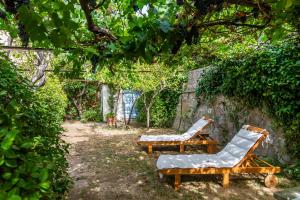 Zahrada ubytování Casa Sole di Toscana con grande terrazza panoramica, giardino e vasca relax idromassaggio