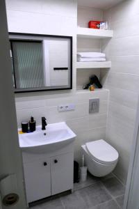 Koupelna v ubytování Ferienwohnung Hupka im Ferienpark Geyersberg