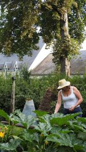 Jardin de l'établissement L'APPART enTHÈSE - Appartement pour une ou deux pers - Accessible à Tous - Meuble Tourisme 3 étoiles en BOURGOGNE