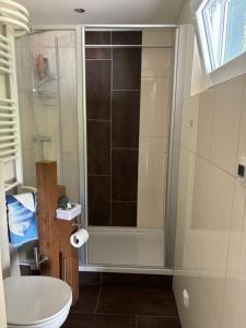 a bathroom with a shower and a toilet and a sink at Elas Ferienhaus 66 in Freyung