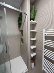 a bathroom with a shower stall with a plant on it at Plein centre-ville T2 refait à neuf in Aix-les-Bains +15 photos