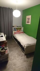 a small bedroom with green walls and a bed at Maison proche de tout in Saint-Herblain +2 photos