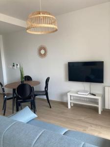 TV a/nebo společenská místnost v ubytování F2 neuf cosy et élégant avec terrasse, parking, WIFI