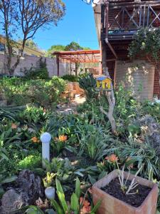 Vườn quanh Coastal Cottage +8 ảnh