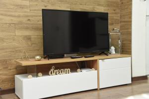 TV o dispositivi per l'intrattenimento presso Apartmani Sofronic Loznica 2
