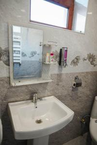 a white sink in a bathroom with a mirror at თოია in Kvareli