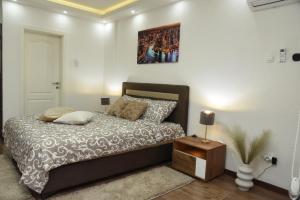 Letto o letti in una camera di Apartmani Sofronic Loznica 2