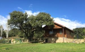 una casa con un árbol delante de ella en Complejo Rural Los Jarales, en Navamorcuende