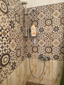 a shower in a bathroom with tiles on the wall at LEO Apartment in Belgrade