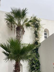 two palm trees in front of a white building at Villa La Falaise in Oualidia