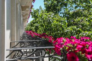 Zahrada ubytování Hotel Plaza Berat