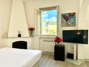 TV a/nebo společenská místnost v ubytování Farmer's rooms