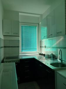 Cucina o angolo cottura di Apartmani Sofronic Loznica 1