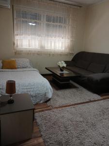 Area soggiorno di Apartmani Sofronic Loznica 1
