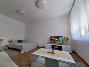 Posezení v ubytování Apartmani Sofronic Loznica 1 + 37 fotografií