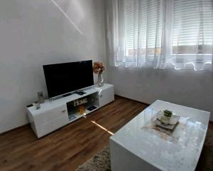 TV o dispositivi per l'intrattenimento presso Apartmani Sofronic Loznica 1