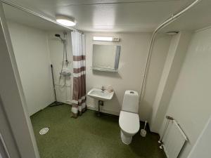 Un baño pequeño con inodoro y lavabo. en Majatalo Esko, en Eskola