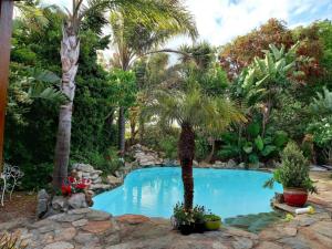 a swimming pool with palm trees in a garden at Hidden Gem Self-catering RUWARI BRACKENFELL CAPE TOWN in Cape Town