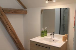 un bagno con lavandino e specchio di 2h Paris, nature et quiétude, Chez Armantine a Saint-Georges-sur-la-Prée