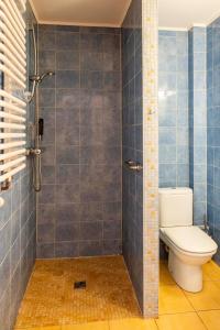 a bathroom with a toilet and a shower at Sami Swoi Kluki 1A in Kluki