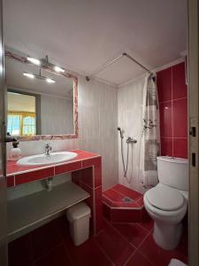 a bathroom with a toilet and a sink and a mirror at THE FLOWER APARTMENTS in Toroni +99 photos