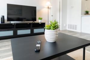 TV o dispositivi per l'intrattenimento presso Pet-Friendly 1BR Apt - Pool Near All Attractions