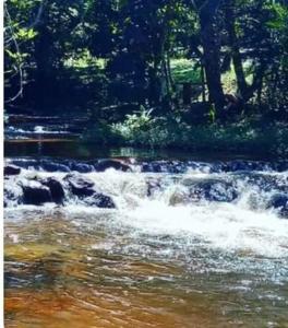 a stream of water in a river with trees at Zion camping in Camacari