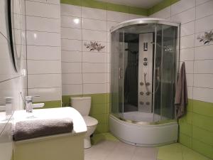 ブワディスワボボにあるApartament Mewka XVIIIのシャワー、トイレ、洗面台を備えたバスルーム