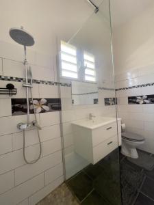 a bathroom with a shower and a sink and a toilet at Villa trinité in La Trinité
