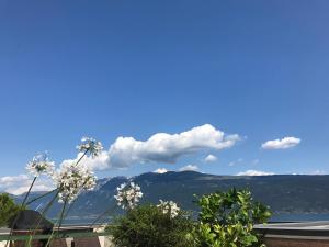 Gallery image of Appartamento Terrazza Paradiso in Gargnano