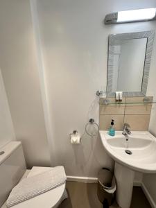 a bathroom with a sink and a toilet and a mirror at Andorra Guest Accommodation in Brighton & Hove