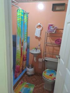 a small bathroom with a toilet and a sink at Cabaña 10 in San Gerardo de Dota
