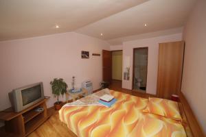 1 dormitorio con 1 cama grande y TV en Pension Casa Anadam, en Băile Herculane