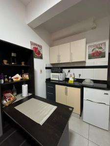 Kuchyň nebo kuchyňský kout v ubytování Departamento Amoblado en Barrio Los Laureles
