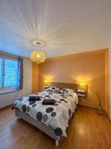 Un dormitorio con una cama grande en una habitación. en Appartement Gîte des 3 Enfants, en Montluel