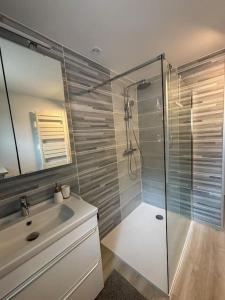 un baño con ducha y lavabo en Appartement Gîte des 3 Enfants, en Montluel