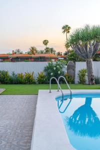 Bazén v ubytování Bungalows Las Almenas nebo v jeho okolí