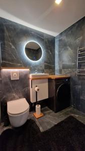 a bathroom with a toilet and a sink at Apartment vanalinnas in Võru