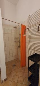 a bathroom with a shower with an orange shower curtain at Apartament w Welskiej Kamienicy in Lidzbark