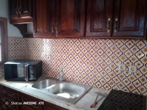 a kitchen counter with a sink and a microwave at Maison La rose 1 in Mezraya +27 photos